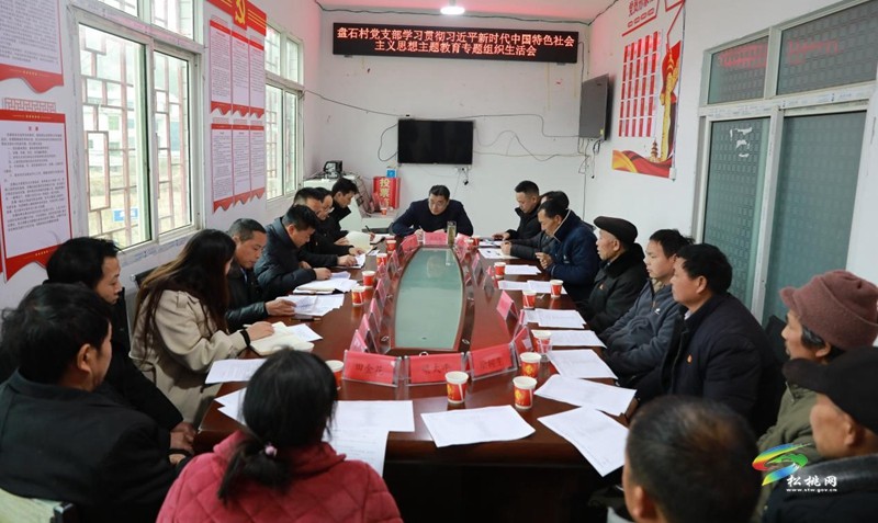 吳廷友到聯(lián)系點參加村黨支部主題教育專題組織生活會