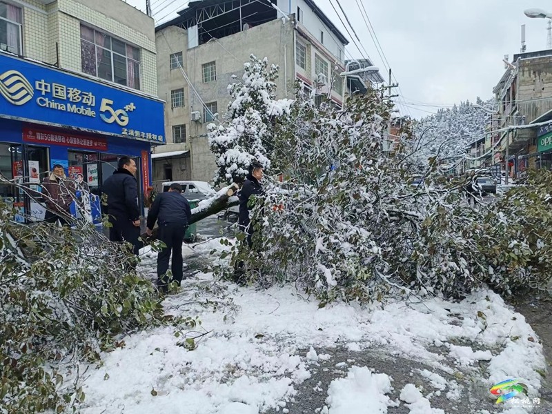 最美雪“警”，有速度更有溫度！