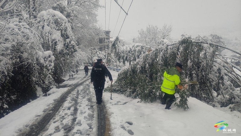 最美雪“警”，有速度更有溫度！