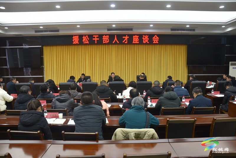 松桃召開援松干部人才座談會(huì)