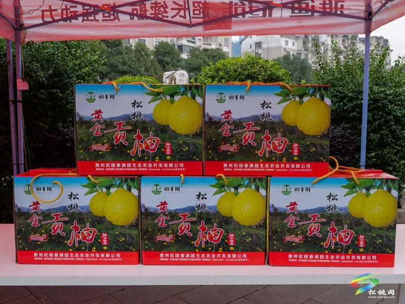 松桃春之味“美食松桃”——年貨展銷暨原味松桃第二屆年貨“集”正式開幕