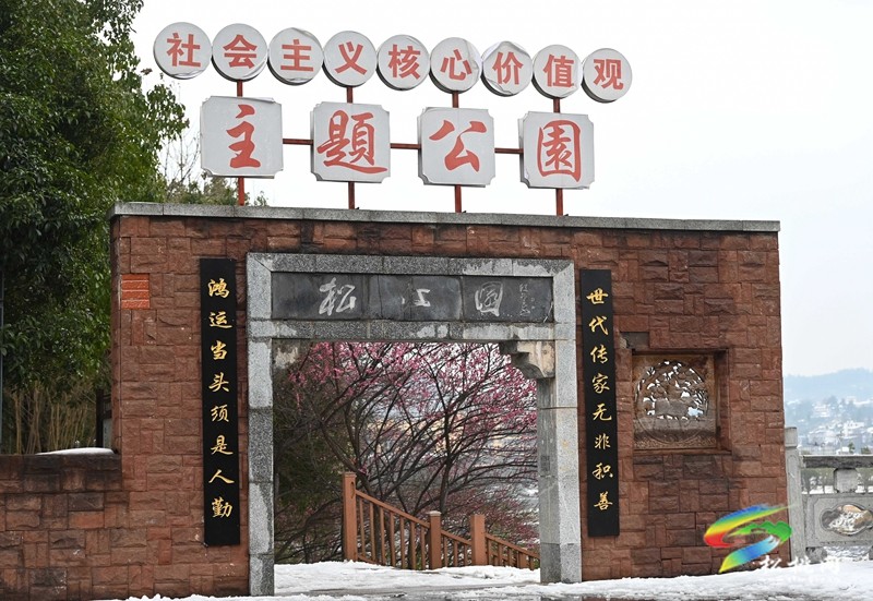 綻放在早春的浪漫 松桃的梅花開了
