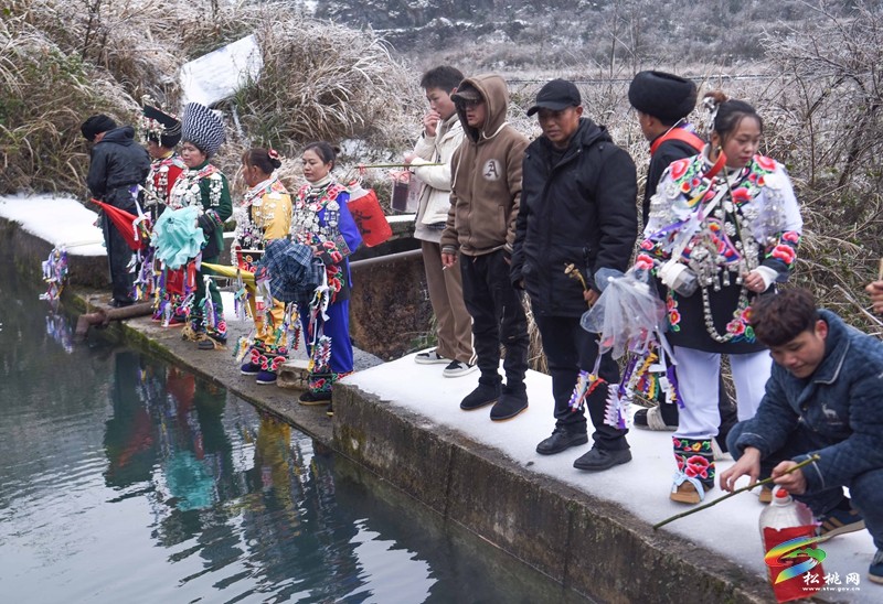 松桃：非遺接龍迎龍年