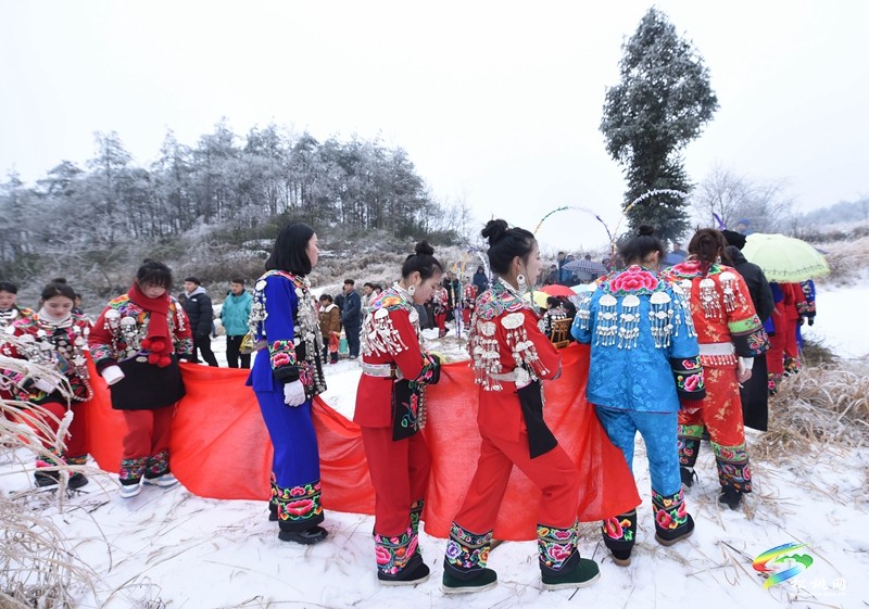 松桃：非遺接龍迎龍年