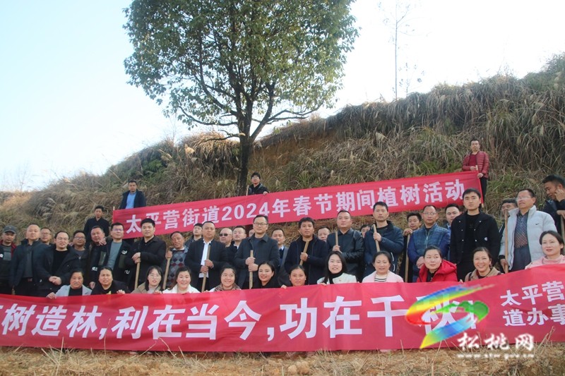 太平營街道：植此春色 播種希望
