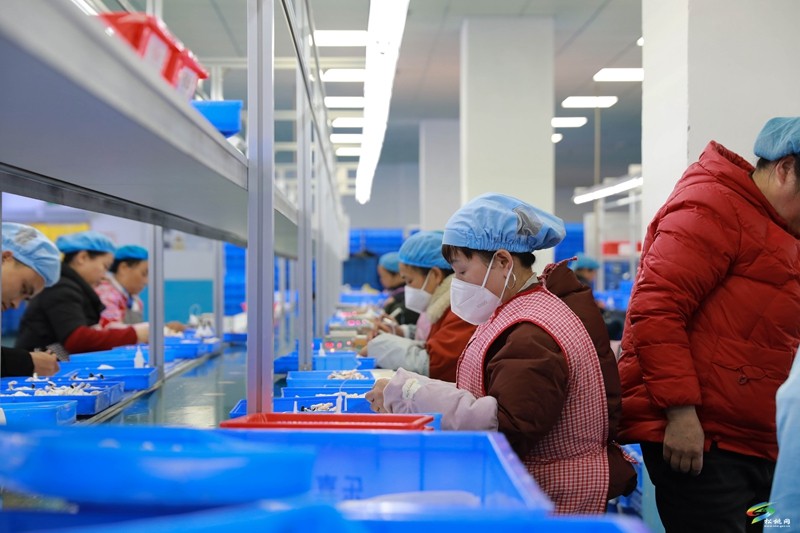 開足馬力！節(jié)后企業(yè)復(fù)工復(fù)產(chǎn)忙