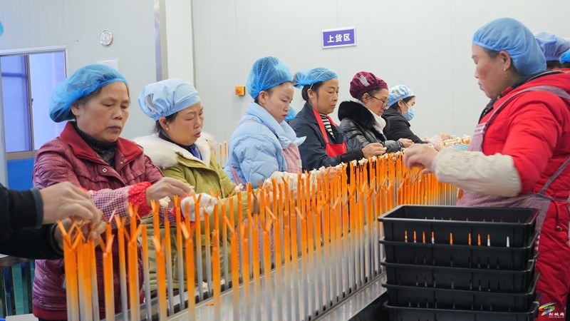 陳琪調研督導企業(yè)復工復產(chǎn)工作