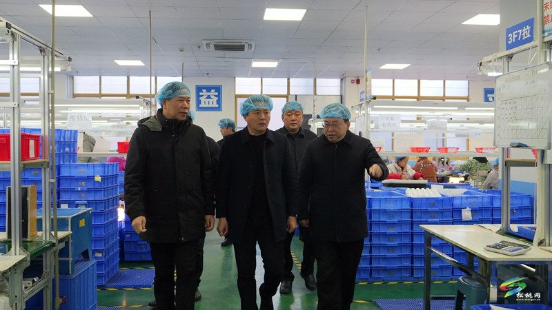 陳琪調研督導企業(yè)復工復產(chǎn)工作