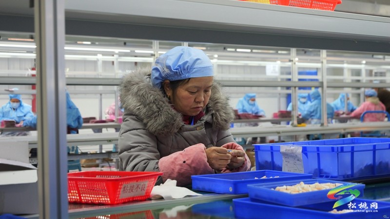 孟溪鎮(zhèn)：企業(yè)節(jié)后復(fù)工復(fù)產(chǎn)勁頭足