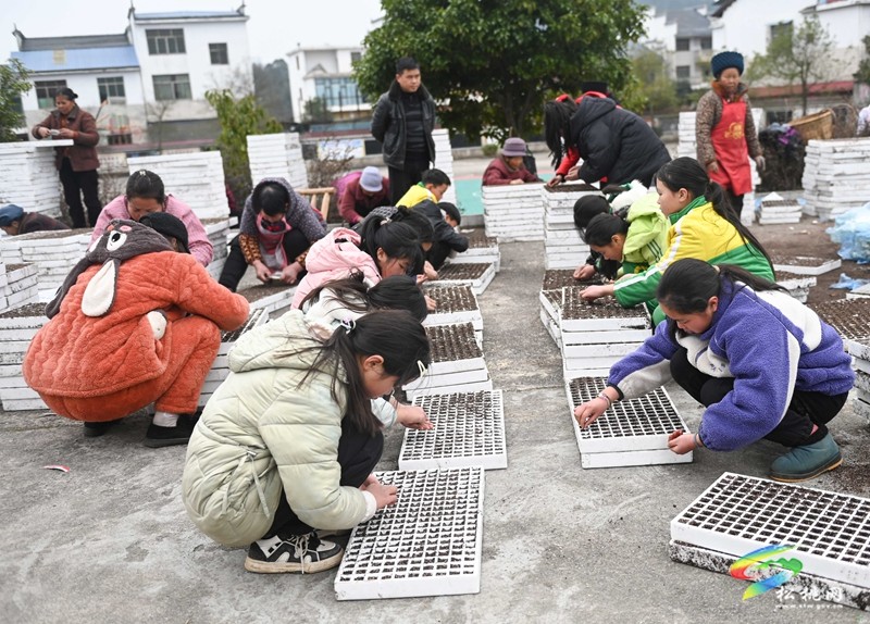 長興堡鎮(zhèn)：春耕“進校園” 學(xué)生體驗春耕播種