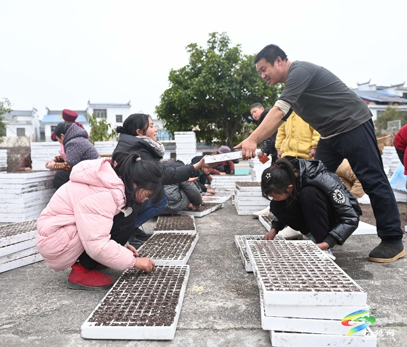 長興堡鎮(zhèn)：春耕“進校園” 學(xué)生體驗春耕播種