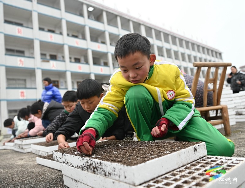 長興堡鎮(zhèn)：春耕“進校園” 學(xué)生體驗春耕播種