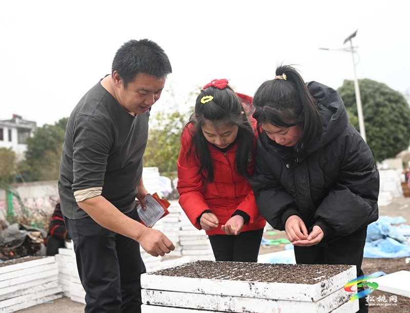長興堡鎮(zhèn)：春耕“進校園” 學(xué)生體驗春耕播種