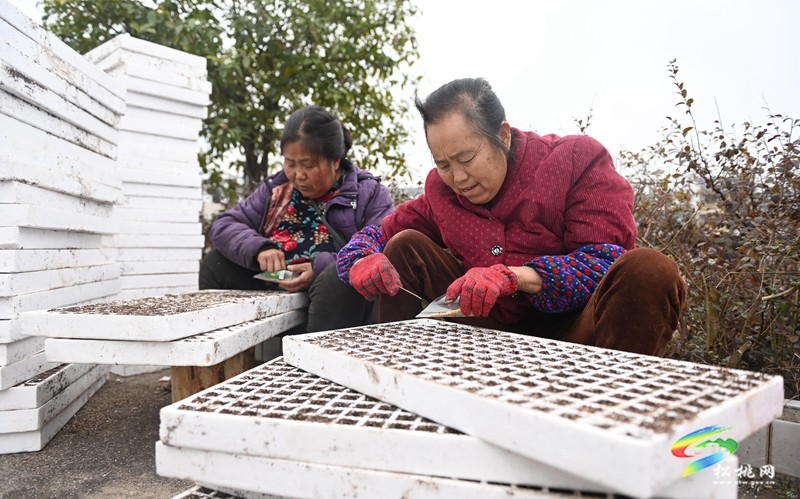 長興堡鎮(zhèn)：春耕“進校園” 學(xué)生體驗春耕播種