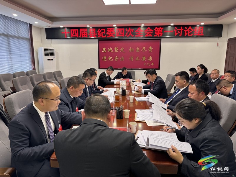 十四屆縣紀(jì)委四次全會進(jìn)行分組討論