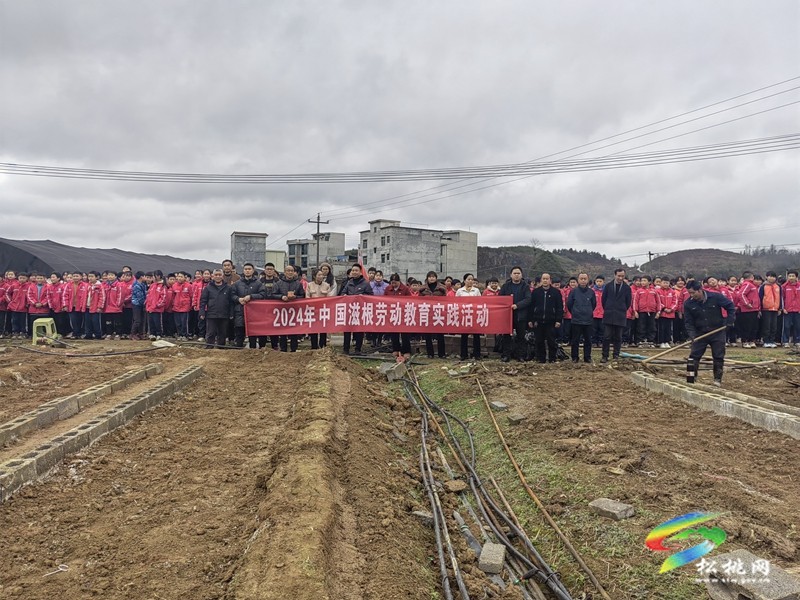 盤信鎮(zhèn)民族完小開展綠色生態(tài)文明試點(diǎn)校勞動(dòng)教育實(shí)踐活動(dòng)