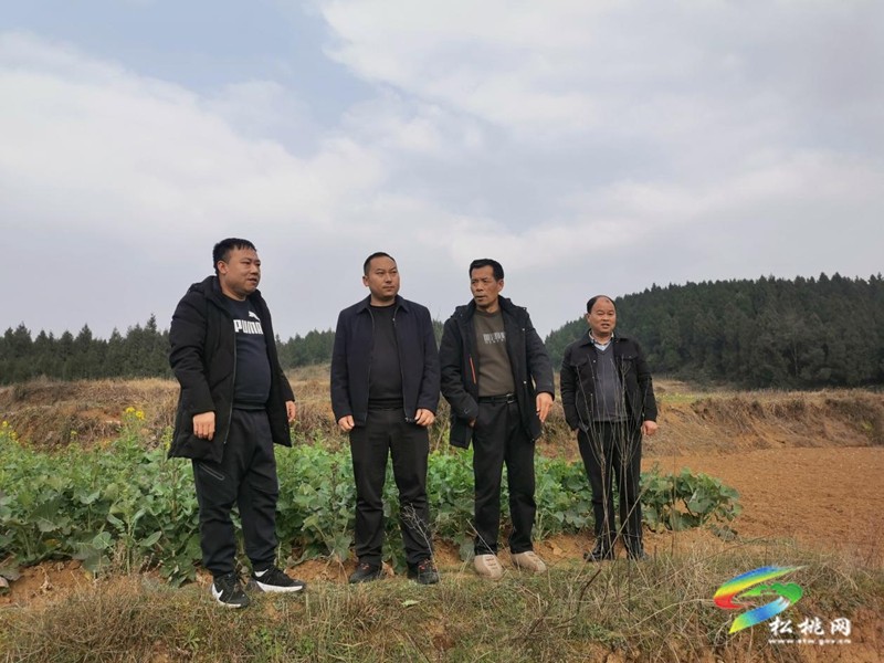 普覺鎮(zhèn)：四措施開展森林防滅火工作筑牢安全屏障