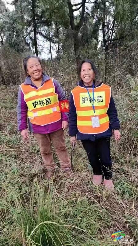 普覺鎮(zhèn)：四措施開展森林防滅火工作筑牢安全屏障