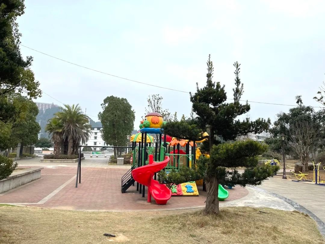小小“口袋公園” 裝滿市民幸福感