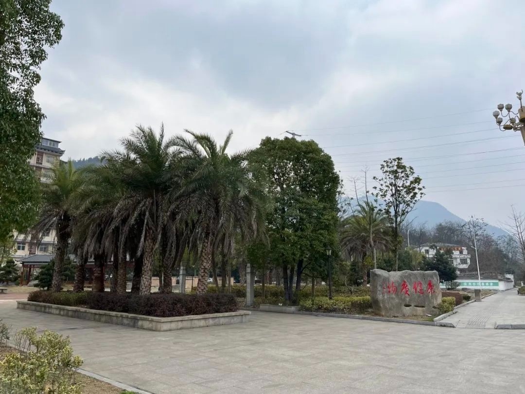 小小“口袋公園” 裝滿市民幸福感