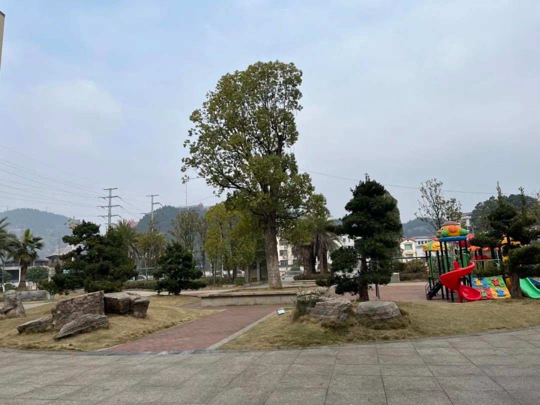 小小“口袋公園” 裝滿市民幸福感