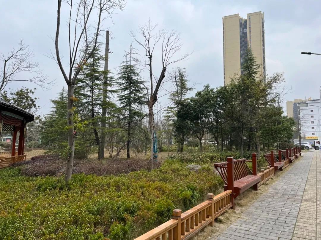 小小“口袋公園” 裝滿市民幸福感