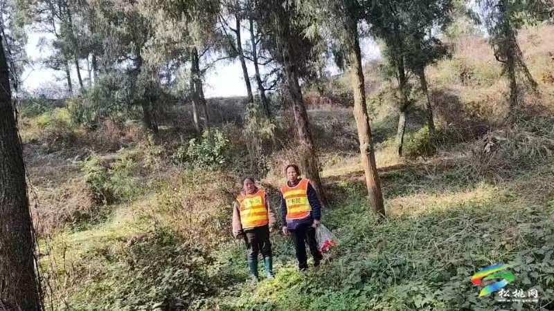 普覺鎮(zhèn)持續(xù)強(qiáng)化推進(jìn)森林防滅火工作