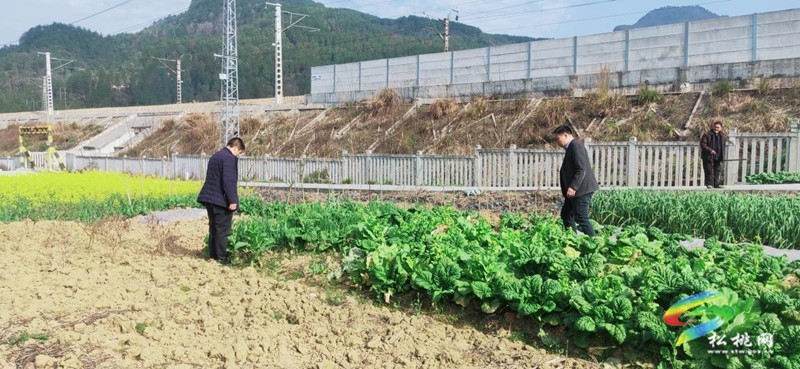 普覺鎮(zhèn)扎實開展春季禁種鏟毒踏查專項行動