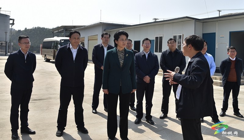 湘西州考察團(tuán)到我縣考察“錳三角”礦業(yè)污染綜合治理工作