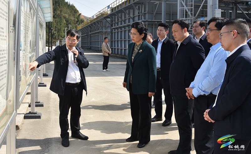 湘西州考察團(tuán)到我縣考察“錳三角”礦業(yè)污染綜合治理工作