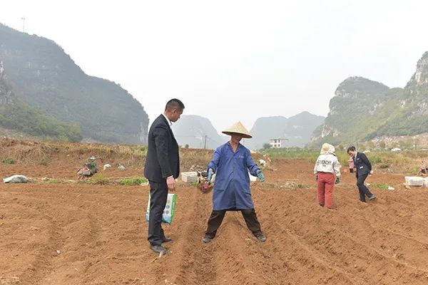 【奮進(jìn)的春天】興義：17億金融“春雨”助力春耕備耕【興義融媒】