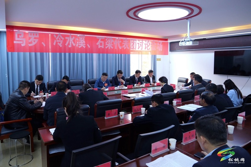縣十七屆人大三次會(huì)議進(jìn)行分組審議