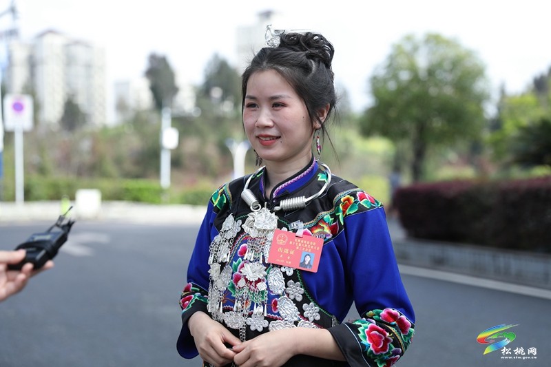 縣十七屆人大三次會(huì)議進(jìn)行分組審議