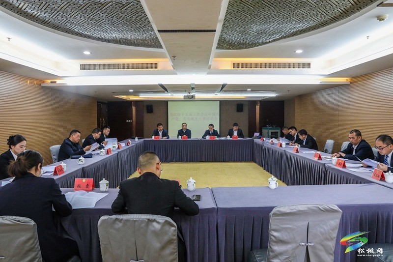 齊獻(xiàn)良策 共譜新篇——政協(xié)委員開展分組討論