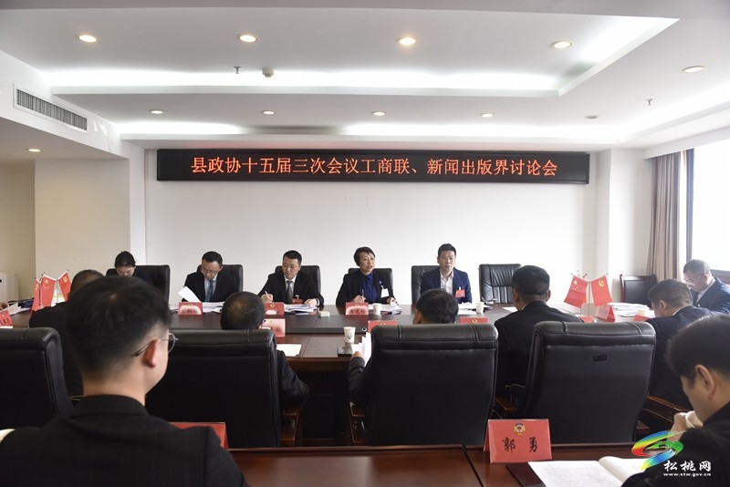 齊獻(xiàn)良策 共譜新篇——政協(xié)委員開展分組討論