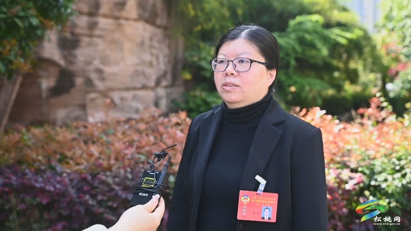 齊獻(xiàn)良策 共譜新篇——政協(xié)委員開展分組討論