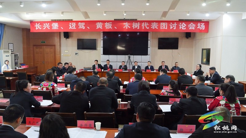 縣十七屆人大三次會議進(jìn)行第二次分組審議
