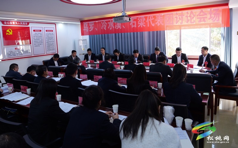 縣十七屆人大三次會議進(jìn)行第二次分組審議
