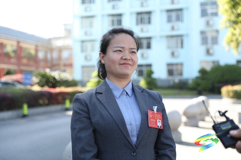 縣十七屆人大三次會議進(jìn)行第二次分組審議