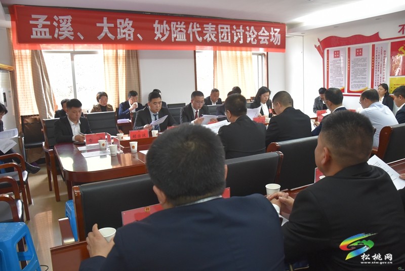 縣十七屆人大三次會議進行第三次分組審議