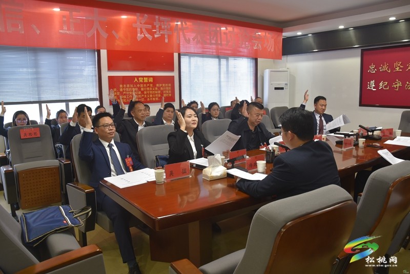 縣十七屆人大三次會議進行第三次分組審議