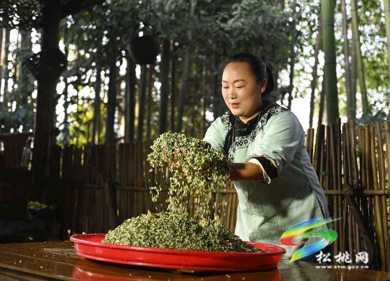 【奮進(jìn)的春天】松桃：春來(lái)社飯香品嘗春天的味道