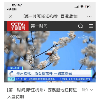 【成績單來了！】松桃2024年3月份對外宣傳成績單