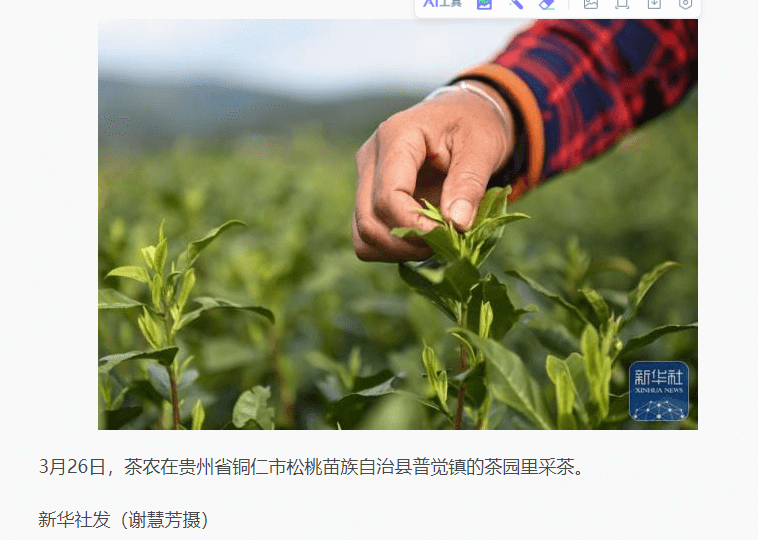 【成績單來了！】松桃2024年3月份對外宣傳成績單