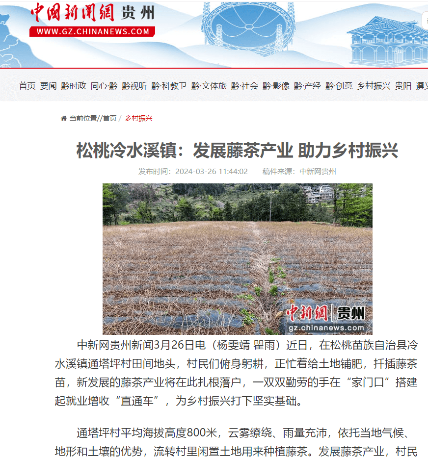 【成績單來了！】松桃2024年3月份對外宣傳成績單
