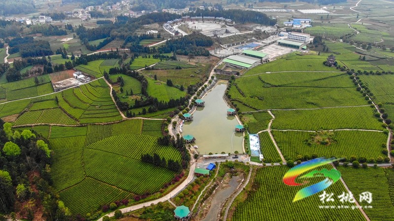 【奮進(jìn)的春天】普覺(jué)鎮(zhèn)：特色民宿“點(diǎn)亮”鄉(xiāng)村旅游