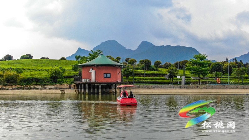 【奮進(jìn)的春天】普覺(jué)鎮(zhèn)：特色民宿“點(diǎn)亮”鄉(xiāng)村旅游