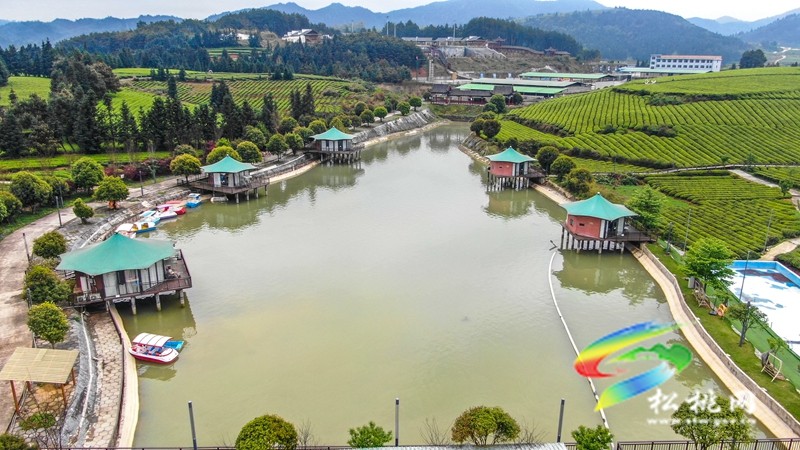 【奮進(jìn)的春天】普覺(jué)鎮(zhèn)：特色民宿“點(diǎn)亮”鄉(xiāng)村旅游