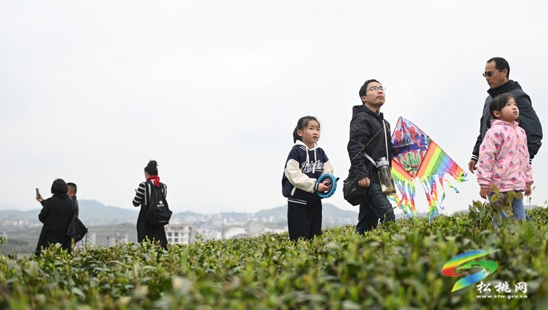 【網(wǎng)絡(luò)中國節(jié)·清明】松桃：踏青游玩正當(dāng)時