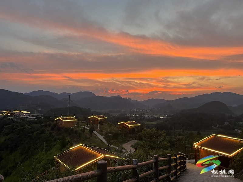 多彩貴州·花漾中國(guó)|黃板鎮(zhèn)納沖村：“賞花＋”催熱“花經(jīng)濟(jì)”
